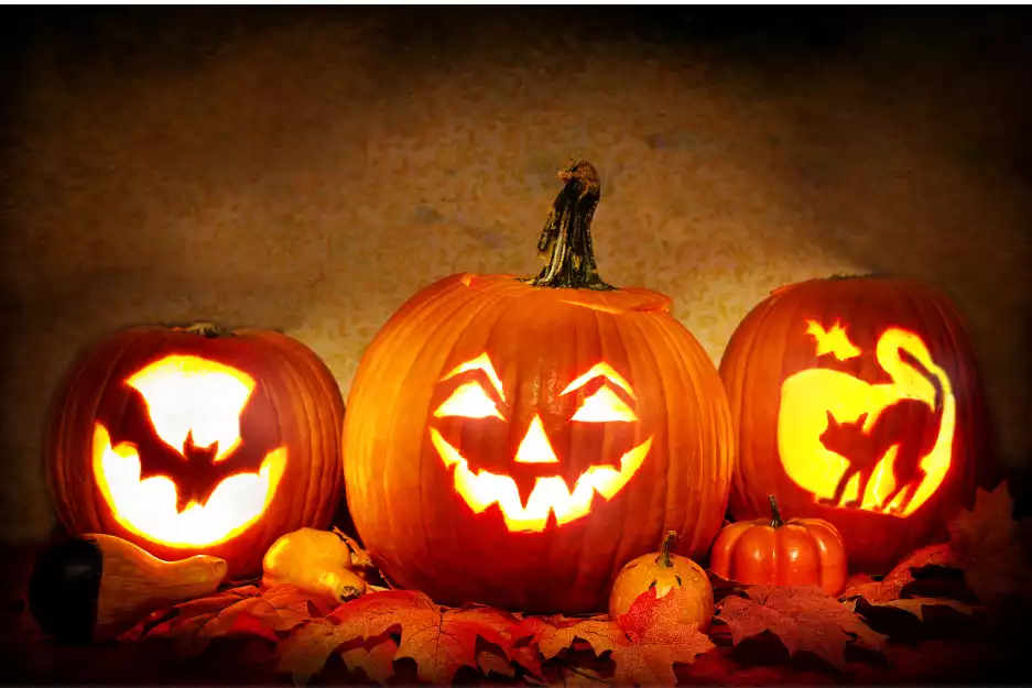 Don’t let your Halloween pumpkins haunt our environment this Halloween